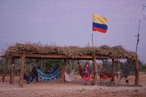 Tardes Wayuu 2